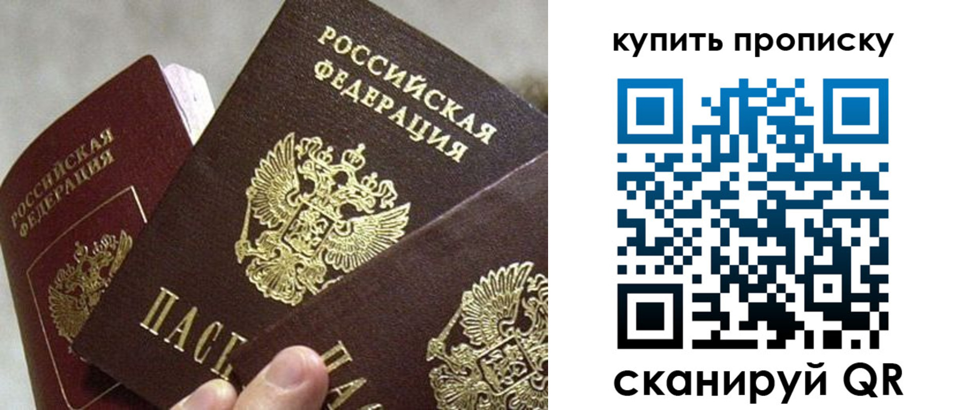 прописка для школы в Светогорске